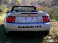 2003 Mustang Cobra Convertible #6