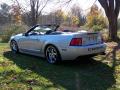 2003 Mustang Cobra Convertible #7