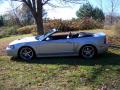 2003 Mustang Cobra Convertible #8