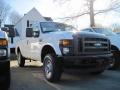 2010 F250 Super Duty XL Regular Cab 4x4 #3