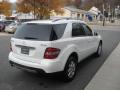 2007 ML 350 4Matic #3
