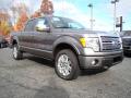 2010 F150 Platinum SuperCrew 4x4 #1