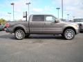 2010 F150 Platinum SuperCrew 4x4 #2