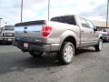 2010 F150 Platinum SuperCrew 4x4 #3