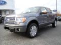 2010 F150 Platinum SuperCrew 4x4 #6