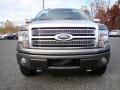 2010 F150 Platinum SuperCrew 4x4 #7
