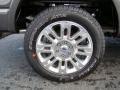 2010 F150 Platinum SuperCrew 4x4 #16