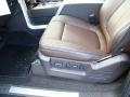 2010 F150 Platinum SuperCrew 4x4 #19