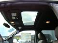 2010 F150 Platinum SuperCrew 4x4 #20