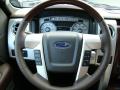 2010 F150 Platinum SuperCrew 4x4 #22