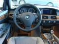 2010 5 Series 528i xDrive Sedan #9