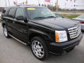 2002 Escalade AWD #8