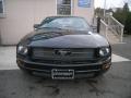 2005 Mustang V6 Deluxe Coupe #1