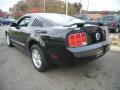 2005 Mustang V6 Deluxe Coupe #4