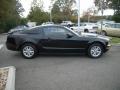 2005 Mustang V6 Deluxe Coupe #7