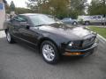 2005 Mustang V6 Deluxe Coupe #8