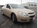 2008 Malibu LS Sedan #7