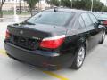 2009 5 Series 528i Sedan #3