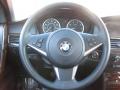 2007 5 Series 550i Sedan #11