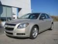 2009 Malibu LS Sedan #2