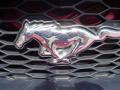 2007 Mustang V6 Deluxe Convertible #13