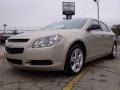 2010 Malibu LS Sedan #1