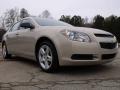 2010 Malibu LS Sedan #7