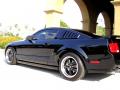 2006 Mustang GT Premium Coupe #7