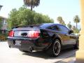 2006 Mustang GT Premium Coupe #8