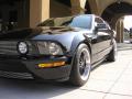 2006 Mustang GT Premium Coupe #10