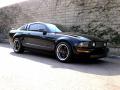 2006 Mustang GT Premium Coupe #16