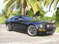 2006 Mustang GT Premium Coupe #34