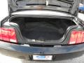 2006 Mustang V6 Premium Coupe #12