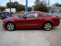 2009 Mustang GT/CS California Special Coupe #5