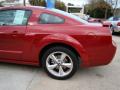 2009 Mustang GT/CS California Special Coupe #21