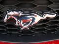 2009 Mustang GT/CS California Special Coupe #27