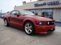 2009 Mustang GT/CS California Special Coupe #30