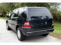2001 ML 320 4Matic #8