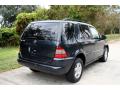 2001 ML 320 4Matic #11