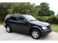 2001 ML 320 4Matic #17