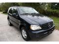 2001 ML 320 4Matic #21