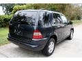 2001 ML 320 4Matic #24
