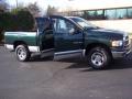 2002 Ram 1500 SLT Quad Cab 4x4 #23