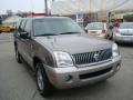 2002 Mountaineer AWD #5