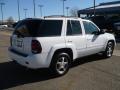 2009 TrailBlazer LT 4x4 #6