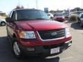2006 Expedition XLT #4