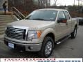 2010 F150 XLT SuperCab 4x4 #2