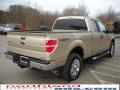 2010 F150 XLT SuperCab 4x4 #6