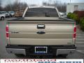 2010 F150 XLT SuperCab 4x4 #7