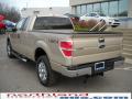 2010 F150 XLT SuperCab 4x4 #8